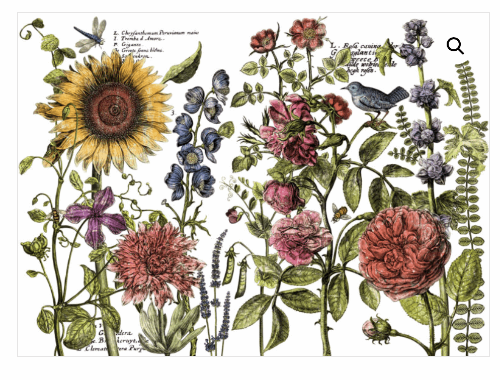 Botanist's Journal Transfer