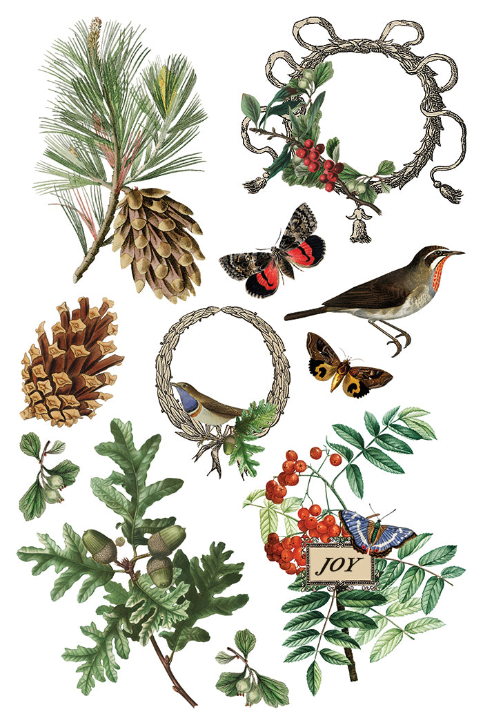 IOD Winter Botanist Transfer