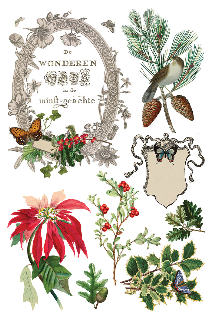 IOD Winter Botanist Transfer