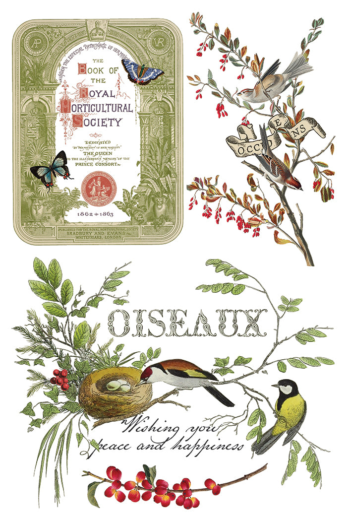 IOD Winter Botanist Transfer
