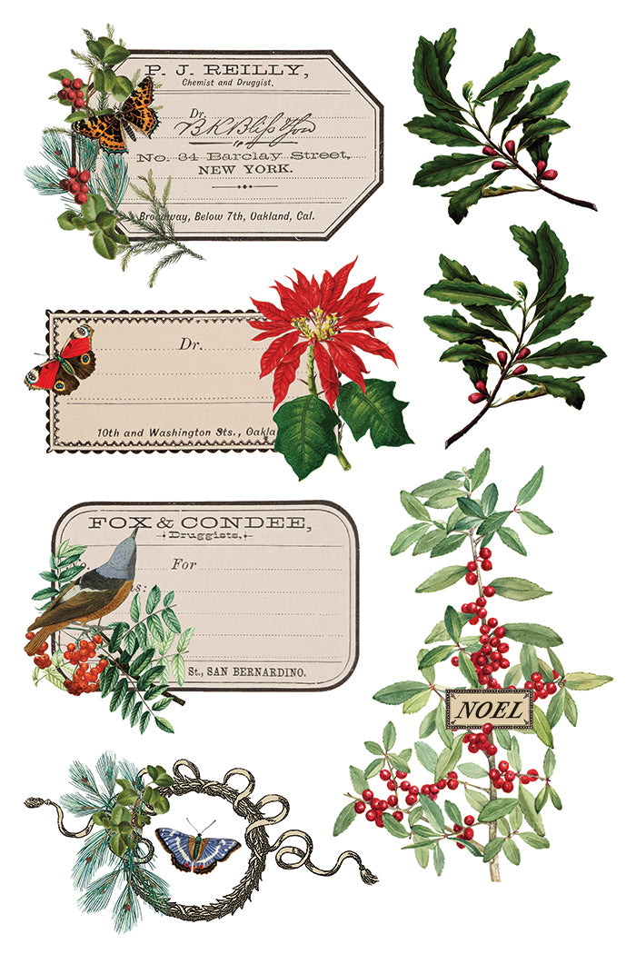 IOD Winter Botanist Transfer