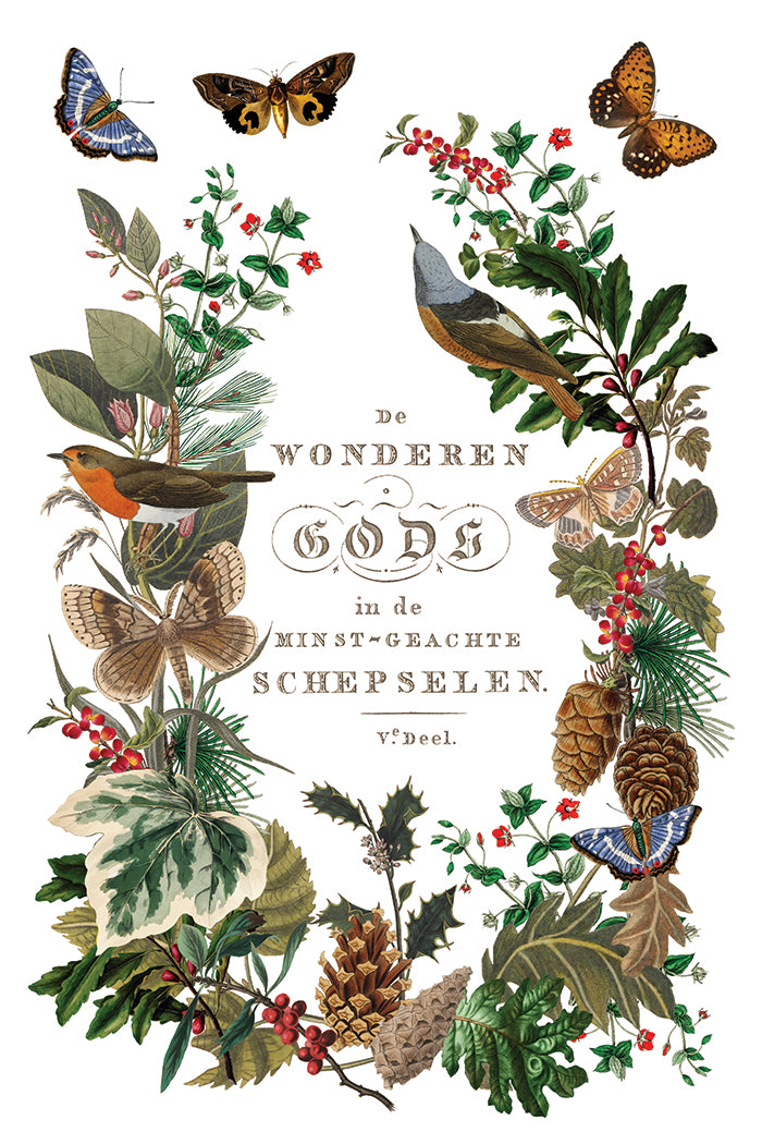 IOD Winter Botanist Transfer