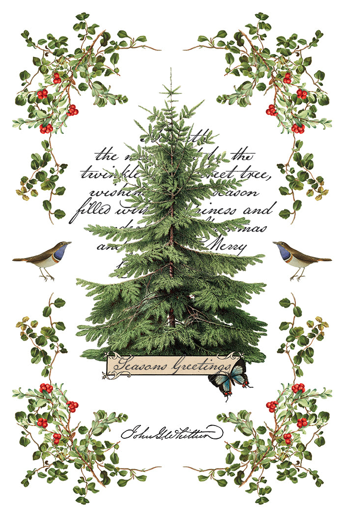 IOD Winter Botanist Transfer