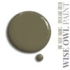 Wise Owl One Hour Enamel Overland Green