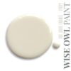 Wise Owl One Hour Enamel Paint Ivory