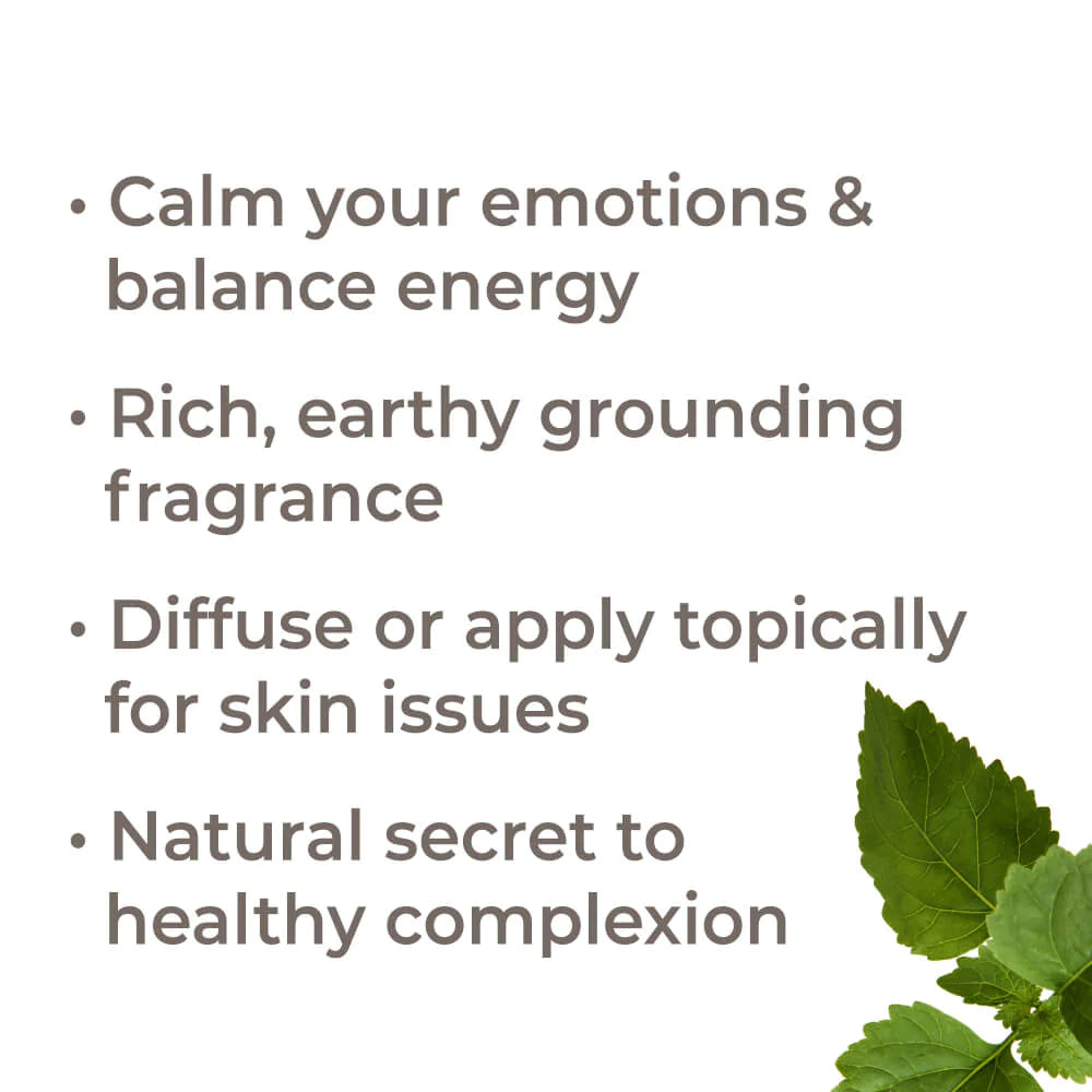 Patchouli EO Plant Therapy - Blue Moon Vintage Mercantile