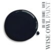 Wise Owl One Hour Enamel Paint Raven