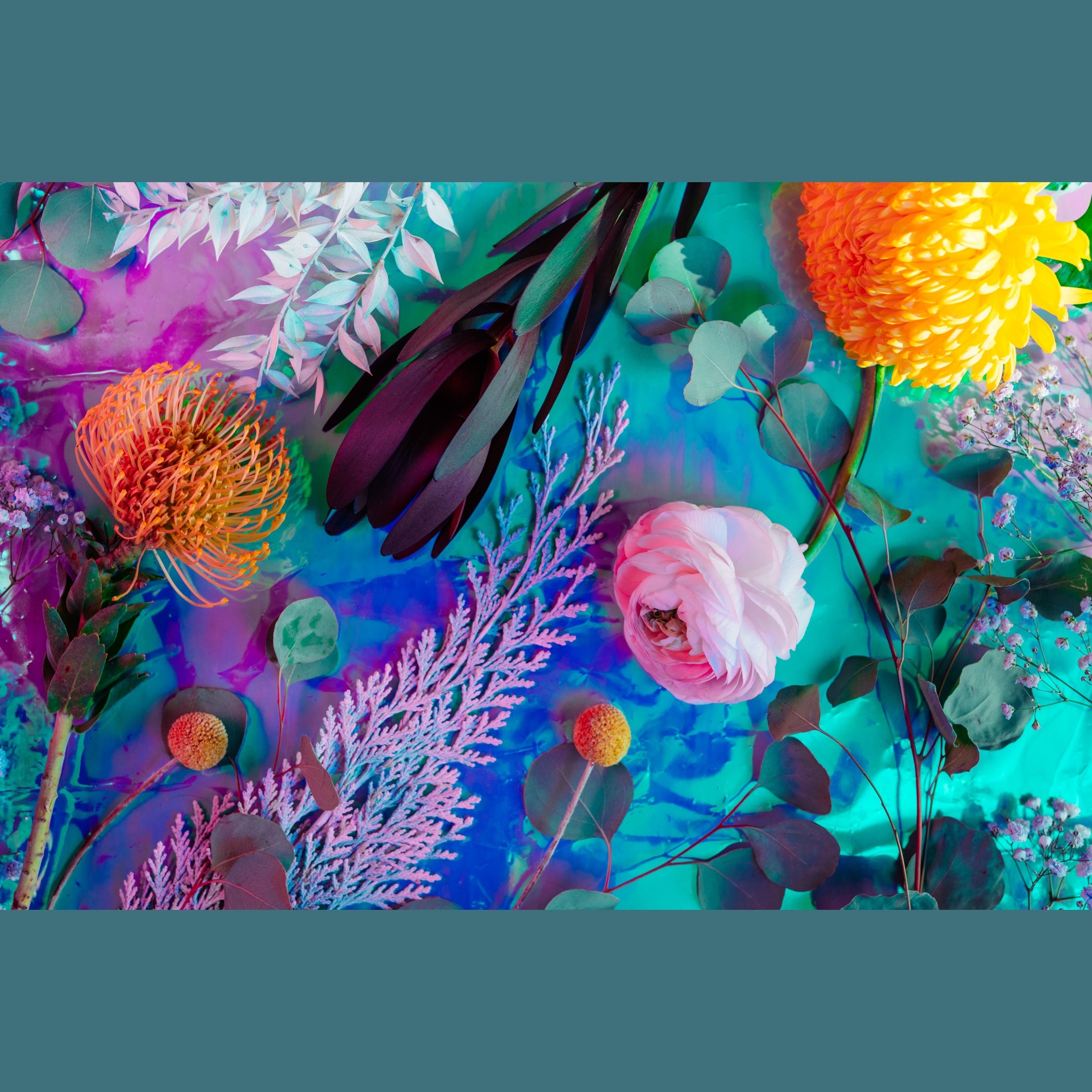 Creativity Hub Paint & Create