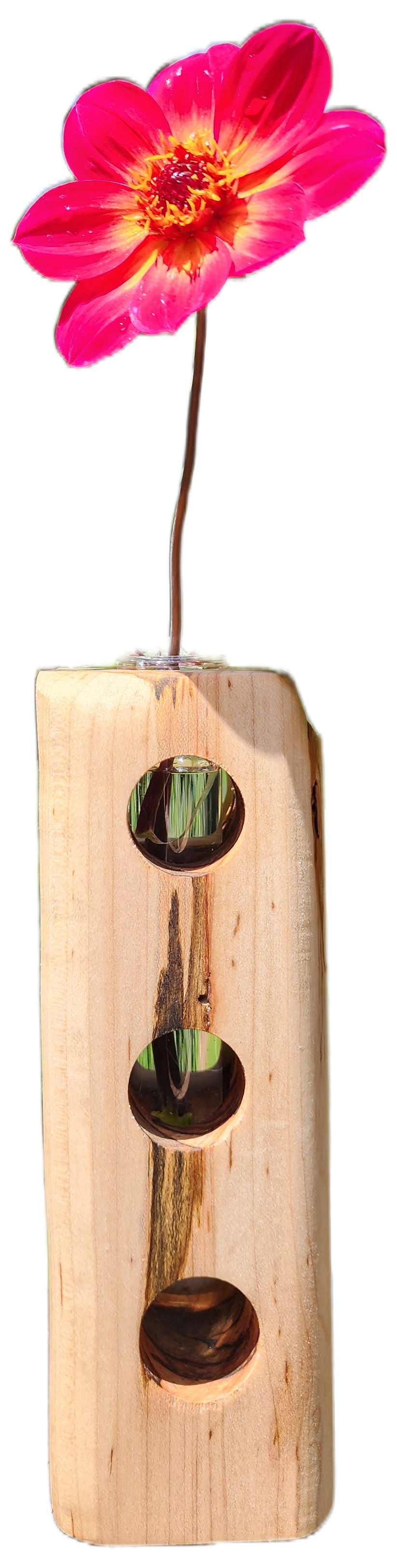Maple 3 Hole Bud Vase