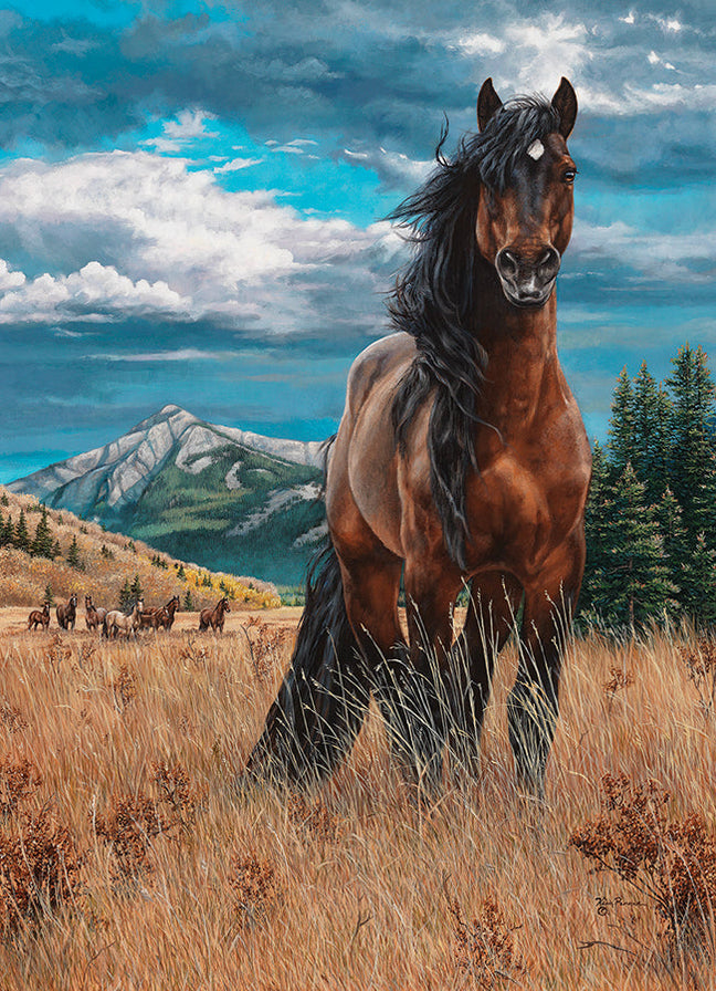 Freedom 1000 PC