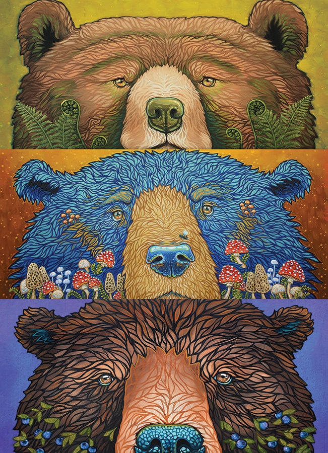 Bear Eyes Harvest 500 PC