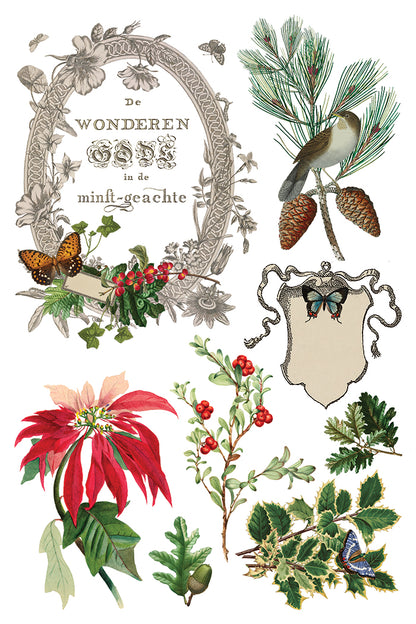 IOD Winter Botanist Transfer