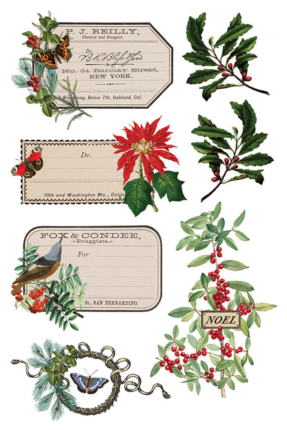 IOD Winter Botanist Transfer