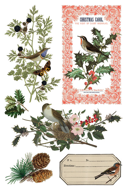 IOD Winter Botanist Transfer