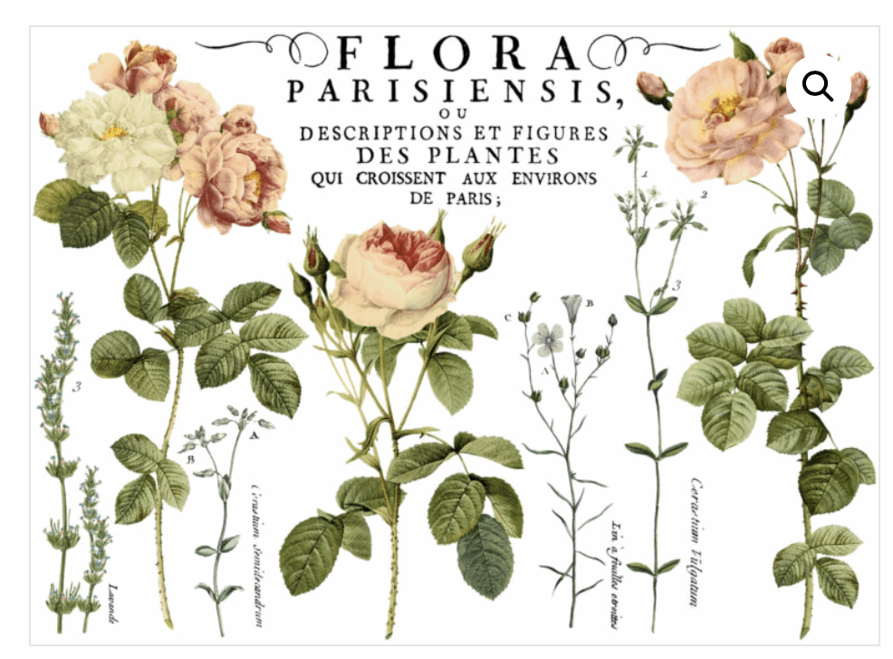 Flora Parisiensis Transfer