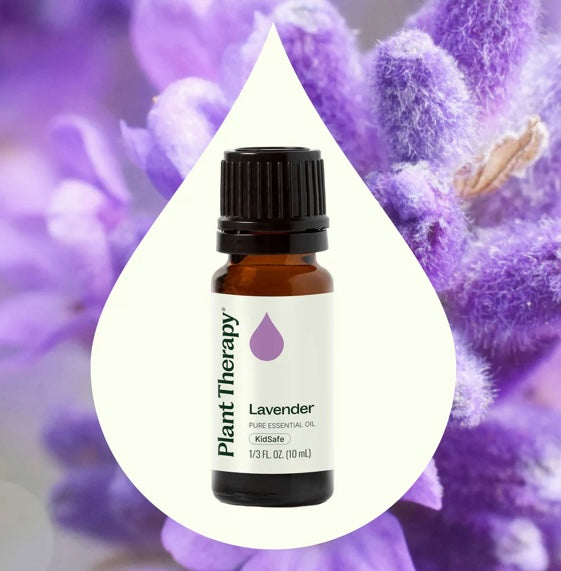 Plant Therapy Lavender Essential Oil