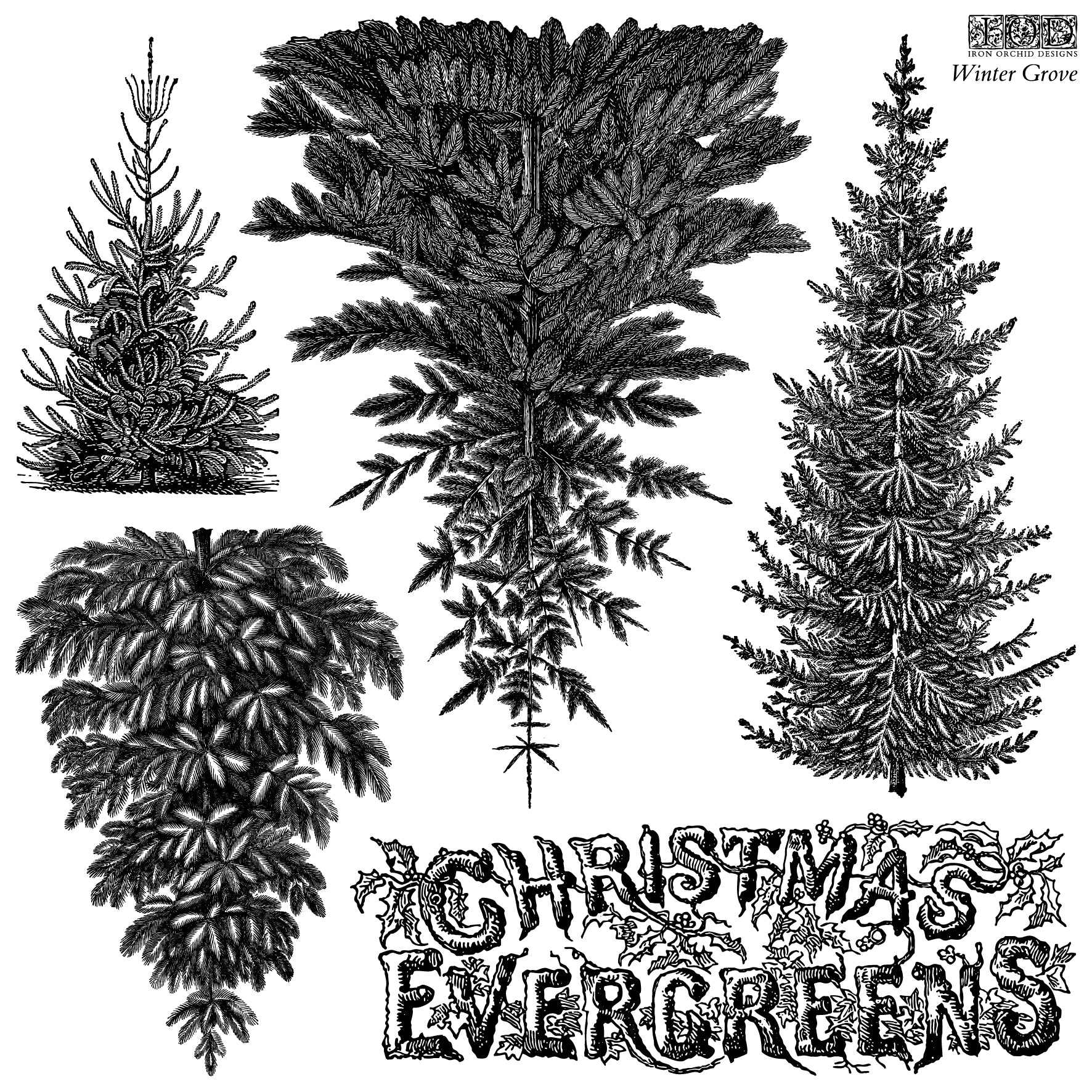 IOD Winter Grove Stamp 12x12