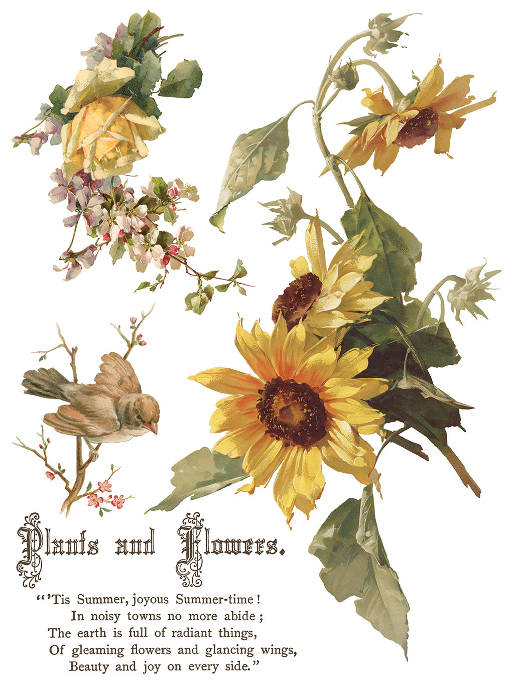IOS Flowers By The Poets Transfer 12X16
