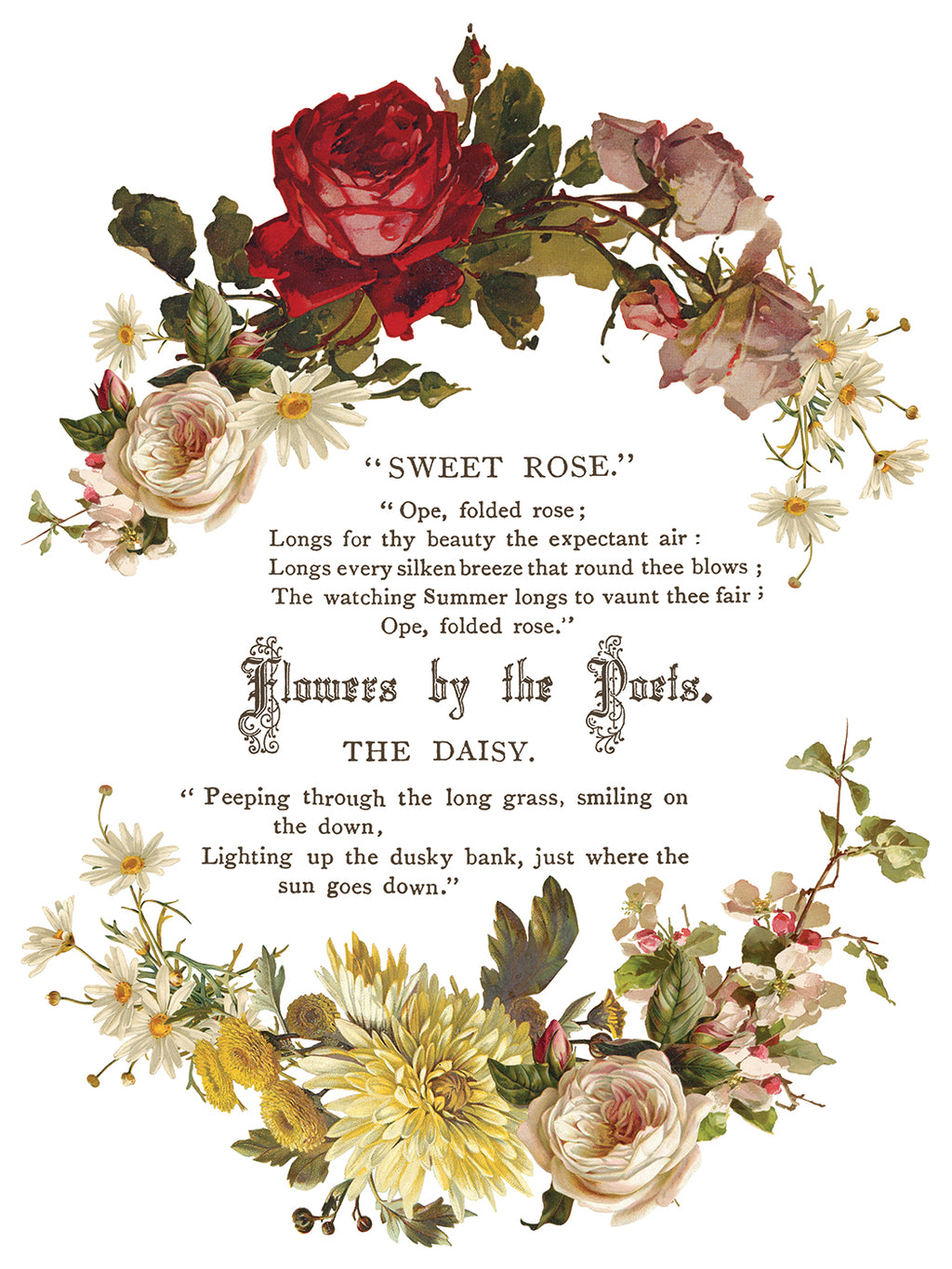 IOS Flowers By The Poets Transfer 12X16