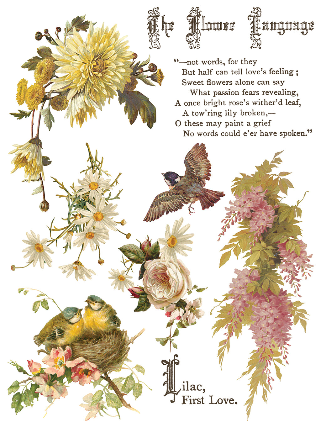 IOS Flowers By The Poets Transfer 12X16