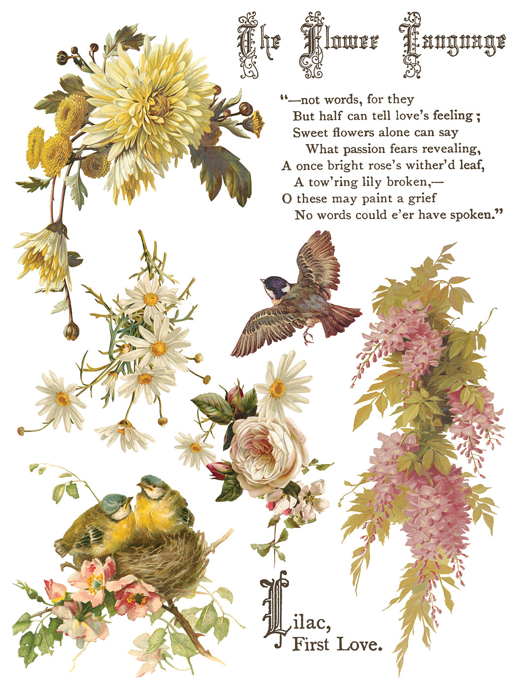 IOS Flowers By The Poets Transfer 12X16