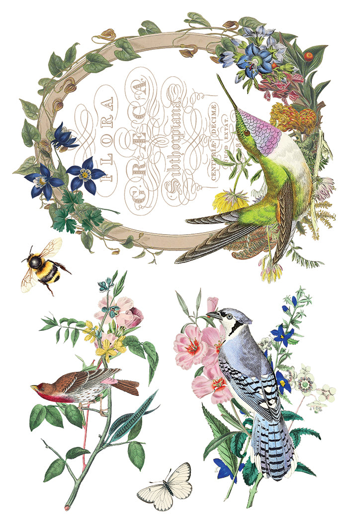 IOD Flora Greca Transfer 8x12