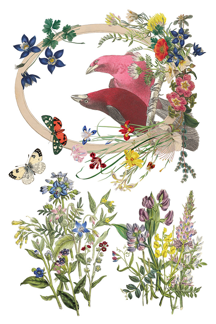 IOD Flora Greca Transfer 8x12