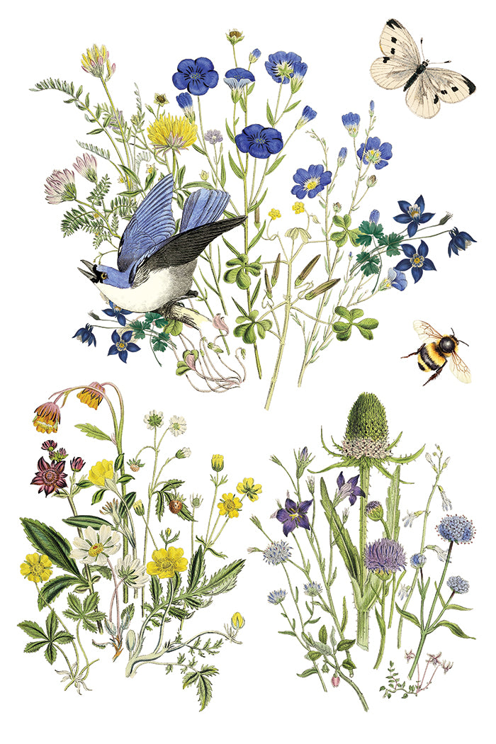 IOD Flora Greca Transfer 8x12