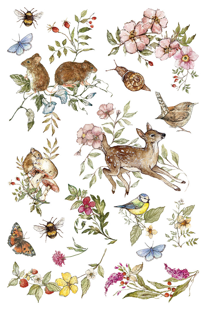 IOD The Bramblewood Diaries Transfer 8x12