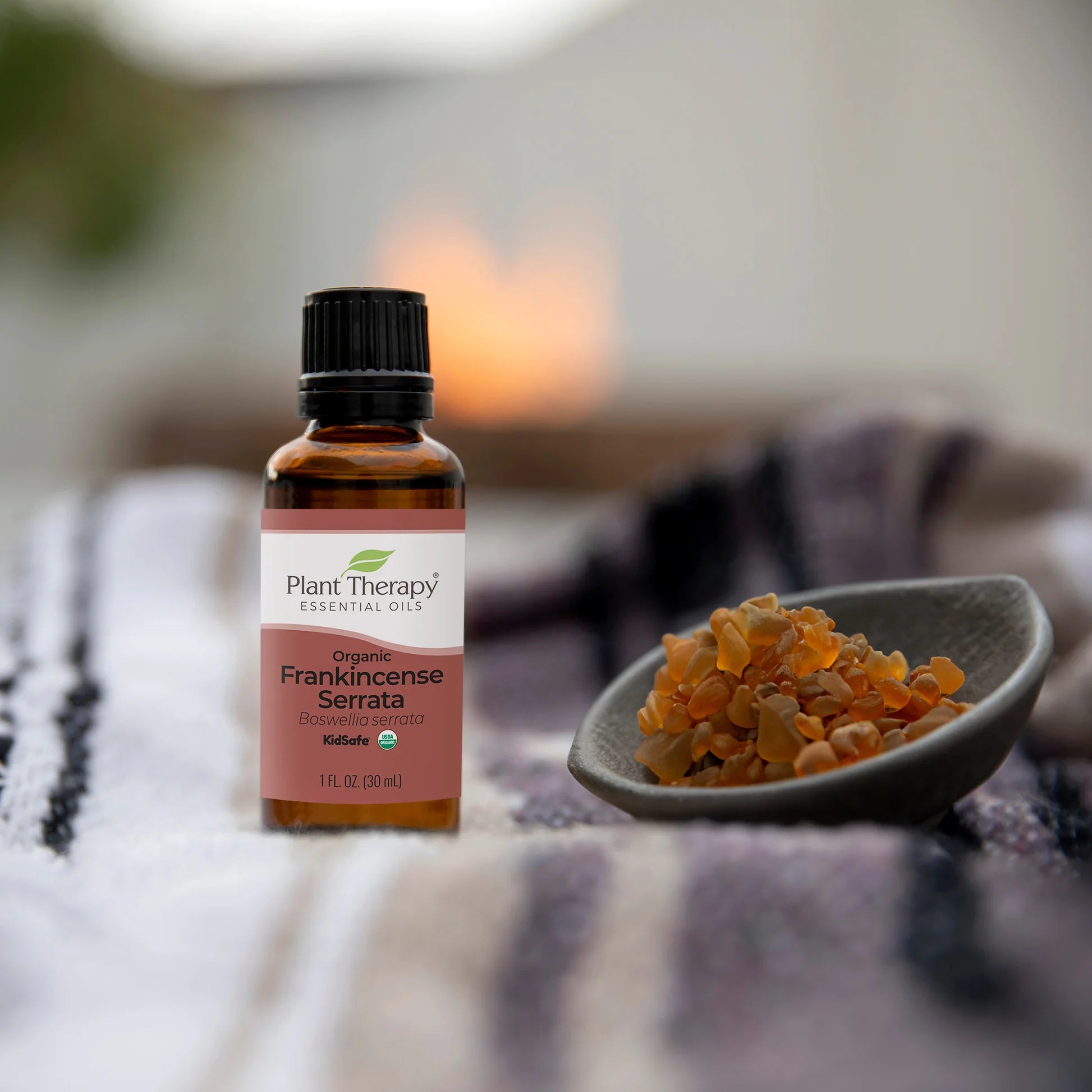 Frankincense Serrata EO Plant Therapy - Blue Moon Vintage Mercantile