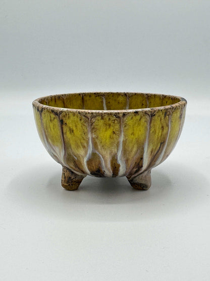 Peacock Bowl Small