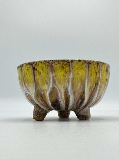 Peacock Bowl Small