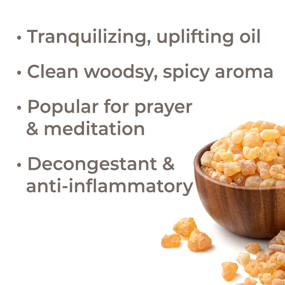 Frankincense Serrata EO Plant Therapy - Blue Moon Vintage Mercantile