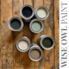 Wise Owl One Hour Enamel Paint Sea Salt - Blue Moon Vintage Mercantile