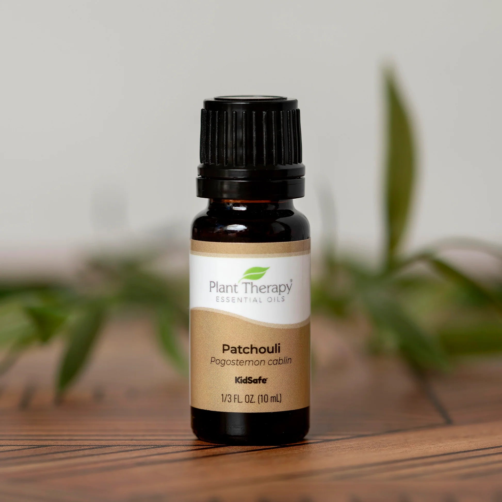 Patchouli EO Plant Therapy - Blue Moon Vintage Mercantile