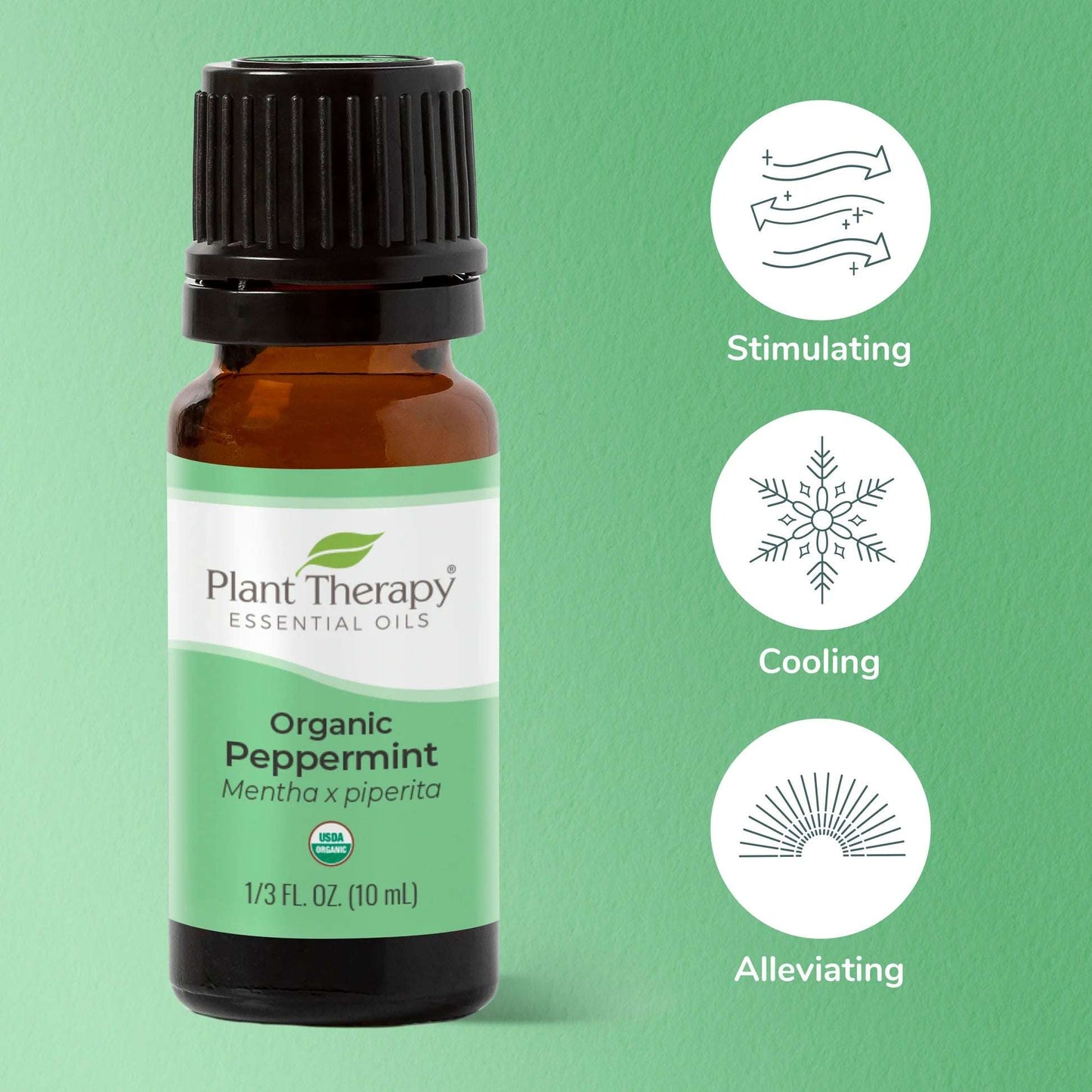 Peppermint EO Plant Therapy - Blue Moon Vintage Mercantile