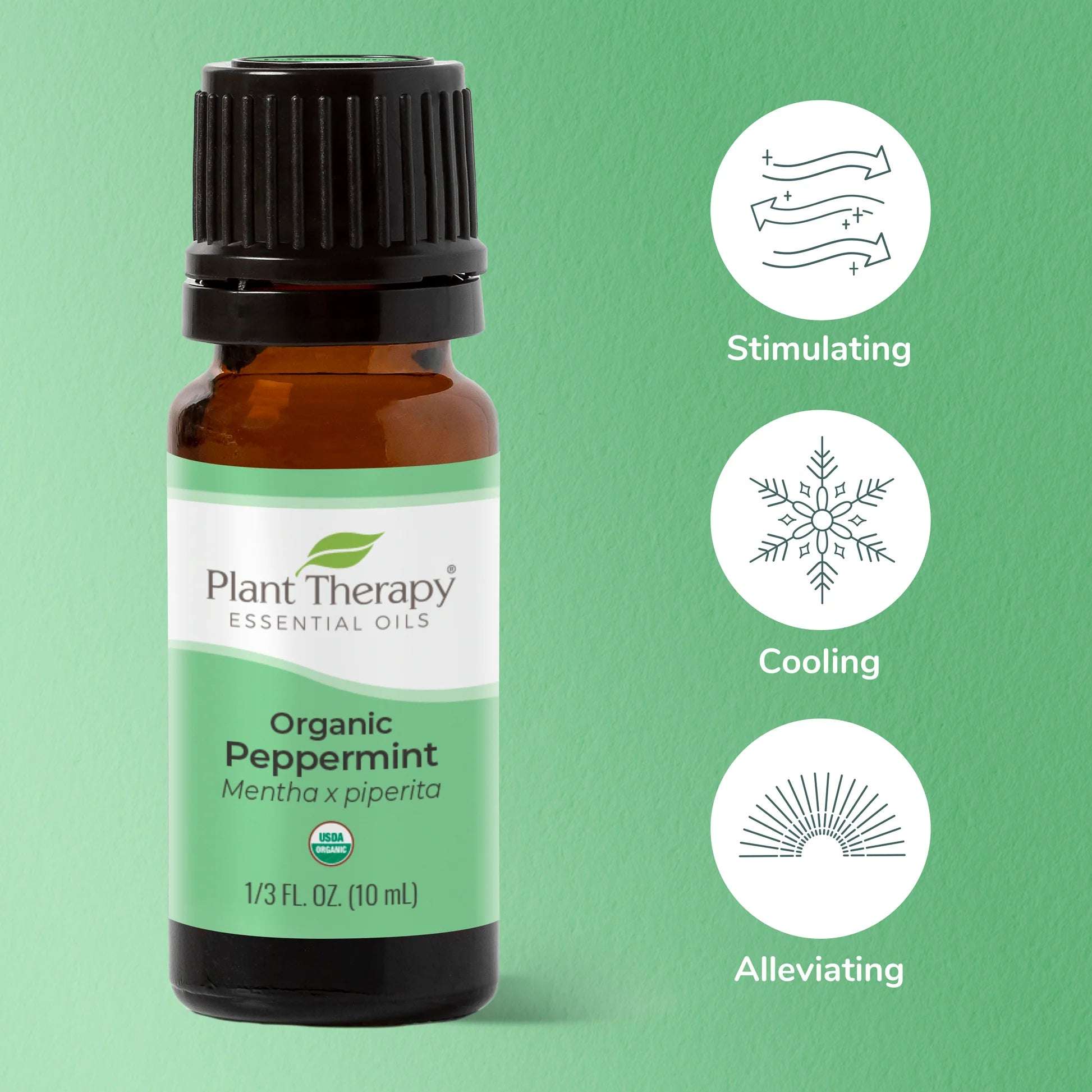 Peppermint EO Plant Therapy - Blue Moon Vintage Mercantile